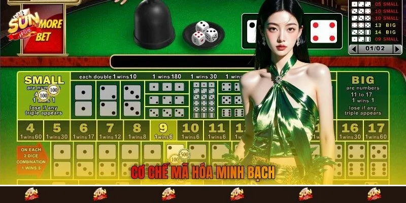 Cơ chế mã hóa minh bạch Cơ chế mã hóa minh bạch