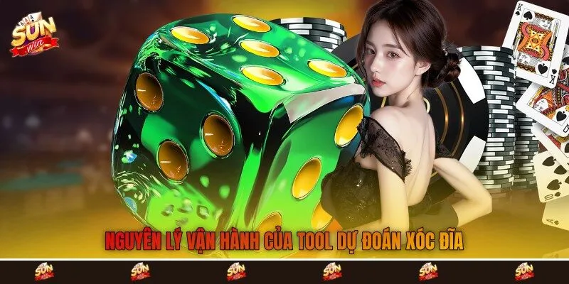 Nguyên lý vận hành của tool dự đoán xóc đĩa